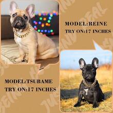 TFKI 18K Gold Plated Dog Chain Collar-3/4 Inch 20mm Width Cuban Link Durable Dog Necklace Cute Fashion Pet Collar For Pit Bulldog Light Metal Jewelry Bold Chain Puppy Accessories (17 Inch Gold) - Vàng - Xem 2
