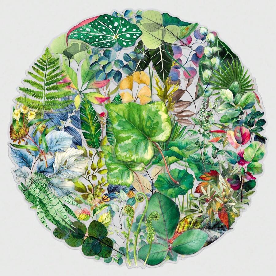 50 ملصق أوراق نباتية خضراء شفافة 2D ملصقات جمالية هدايا ملصقات مضحكة ومرحة ألعاب تسعينيات ملصقات لوازم الألبوم، المظاريف، زجاجات المياه، الكمبيوتر، اللابتوب، الهاتف، الحقائب، الدفاتر، الثلاجة، حفلات المناسبات، الديكور - متعدد الألوان - مشاهدة 1