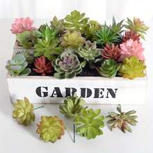 18 pièces Pot de plante succulente artificielle, succulente artificielle élégante, décoration de centre de table, décoration de plante verte de rebord de fenêtre, une variété de plantes réalistes sans pot, texture de succulente artificielle, tige de cactus en plastique réaliste, décoration de jardin succulente pour la maison, cadeau, convient pour la décoration moderne de la maison et du jardin, utilisation intérieure/extérieure, décoration de pot vert d'été pour la maison, décoration de fête (couleur aléatoire) - Multicolore - Voir 2