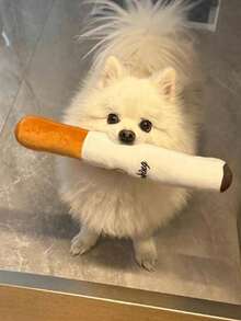 Funny Squeaky Dog/Cat Toy In Cigar/Cigarette Shape, Creative Dental Chewing Function With Built-In Sound Chip, Durable Material, Ideal For Pet Interaction, Holiday Celebration And Birthday Gifts - Multicolor - View 8