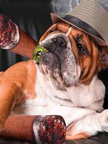 Funny Squeaky Dog/Cat Toy In Cigar/Cigarette Shape, Creative Dental Chewing Function With Built-In Sound Chip, Durable Material, Ideal For Pet Interaction, Holiday Celebration And Birthday Gifts - Multicolor - View 5