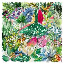 50 ملصق أوراق نباتية خضراء شفافة 2D ملصقات جمالية هدايا ملصقات مضحكة ومرحة ألعاب تسعينيات ملصقات لوازم الألبوم، المظاريف، زجاجات المياه، الكمبيوتر، اللابتوب، الهاتف، الحقائب، الدفاتر، الثلاجة، حفلات المناسبات، الديكور - متعدد الألوان - مشاهدة 11