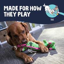 Bubble Plush Skinny Dragons Squeaky Plush Dog Toy, Chew Guard Technology - Green, Large - Turquoise - 查看 7