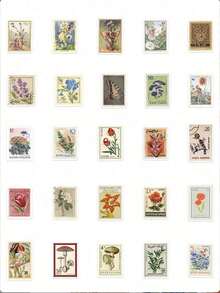 50pcs Vintage Stamps Stickers, Plant, Animal, Flower, Character Designs, Suitable For Scrapbooking, DIY Journals, Phone Cases, Notebooks, Luggage,School Supplies,Back To School - 彩色 - 查看 3