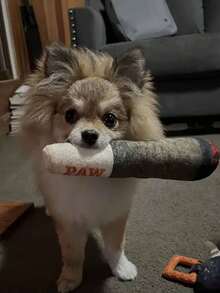 Funny Squeaky Dog/Cat Toy In Cigar/Cigarette Shape, Creative Dental Chewing Function With Built-In Sound Chip, Durable Material, Ideal For Pet Interaction, Holiday Celebration And Birthday Gifts - Multicolor - View 4