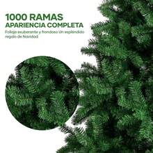 Christmas Trees - Multicolor - View 6