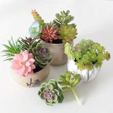 18 pièces Pot de plante succulente artificielle, succulente artificielle élégante, décoration de centre de table, décoration de plante verte de rebord de fenêtre, une variété de plantes réalistes sans pot, texture de succulente artificielle, tige de cactus en plastique réaliste, décoration de jardin succulente pour la maison, cadeau, convient pour la décoration moderne de la maison et du jardin, utilisation intérieure/extérieure, décoration de pot vert d'été pour la maison, décoration de fête (couleur aléatoire) - Multicolore - Voir 8