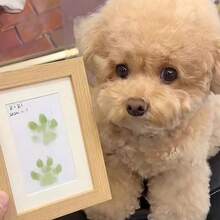 1 Set (Include Photo Frame ,Ink ,And White Board ) No-Touch Inkless Paw Print Kit ,Preserving Your Cherished Pet Paws ,Inkless Pet Paw Print Photo Frame