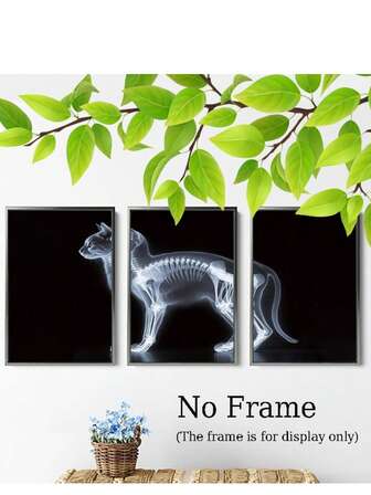 Decoración de habitación 3 piezas Lienzo de arte de pared con esqueleto de gato de rayos X, decoración moderna de oficina veterinaria, póster de animal sin marco para dormitorio, sala de estar, oficina en casa - Material de tela resistente, uso en interiores/exteriores