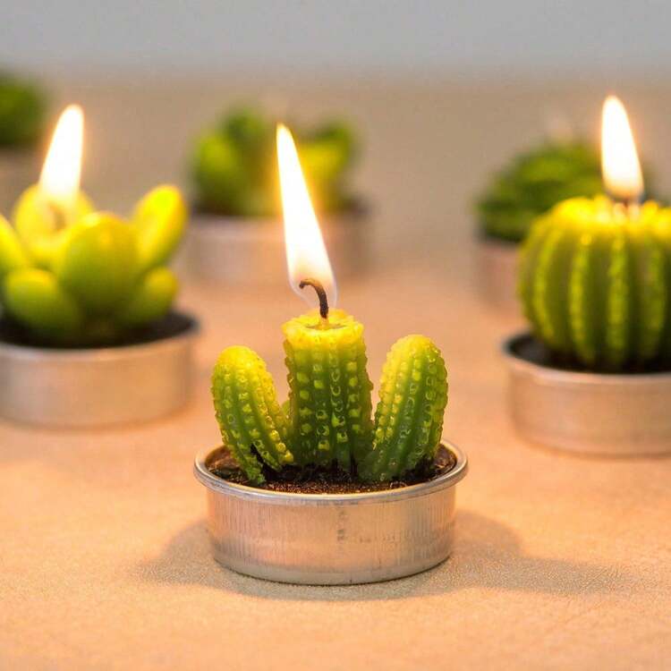 QinBetteryou Paquete de 18 velas de té con diseño de cactus - Velas botánicas miniatura suculentas hechas a mano de manera delicada - Perfectas para decoración del hogar, fiestas, bodas, inauguraciones de casa, decoración para maternidad y primer día de clases - Multicolor - Añade 2