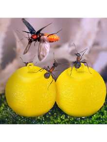Pack Of 10 Insect Traps, Sticky Fly Catcher, Fly Trap, Indoor Mosquito Repellent, Outdoor Wasp Trap, Fly Trap For White Leaf Flies And Aphids, Sticky Yellow Sticky Insect Ball, Fruit Tree Fly Attractant Ball, Melon Fruit Fly Sticky Ball, Insect Attractant Ball, Sticky Flying Insect Ball For Indoor And Outdoor, Fruit Fly, Fly Mosquito, Fruit Shop, Kitchen Trash Can, Pest Control Artifact, Sticky Insect Board - 黃色 - 查看 2