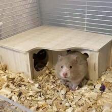 1 Pc Multi Room Wooden Hamster Maze And Hiding Place - Providing Fun Activities And Comfortable Nests For Your Pets