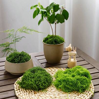 Artificial Decorative Items, Fake Potted Plants, Simulated Moss Fuzzy Artificial Moss Micro Landscape Arrangement Decor, Lawn Bonsai Potted Plant Decoration