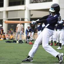 1支实心山毛榉木棒球棒，成人男士户外运动练习健身自卫工具，家用安防木棒，轻便耐用，握感舒适，户外露营自卫工具