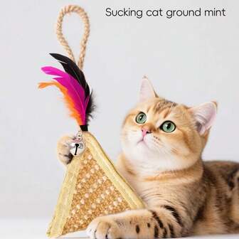 Natural Catnip Chew Sticks, Cat Dental Toys, Cat Chasing Games, Pet Chew Toys