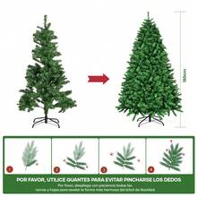 Christmas Trees - Multicolor - View 7