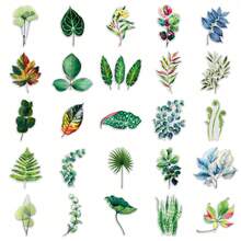 50 ملصق أوراق نباتية خضراء شفافة 2D ملصقات جمالية هدايا ملصقات مضحكة ومرحة ألعاب تسعينيات ملصقات لوازم الألبوم، المظاريف، زجاجات المياه، الكمبيوتر، اللابتوب، الهاتف، الحقائب، الدفاتر، الثلاجة، حفلات المناسبات، الديكور - متعدد الألوان - مشاهدة 3