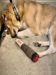 Funny Squeaky Dog/Cat Toy In Cigar/Cigarette Shape, Creative Dental Chewing Function With Built-In Sound Chip, Durable Material, Ideal For Pet Interaction, Holiday Celebration And Birthday Gifts - Multicolor - View 9