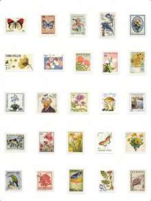 50pcs Vintage Stamps Stickers, Plant, Animal, Flower, Character Designs, Suitable For Scrapbooking, DIY Journals, Phone Cases, Notebooks, Luggage,School Supplies,Back To School - 彩色 - 查看 2