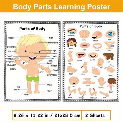 Lachilly 2 Pcs Human Body Parts Educational Posters, Body Parts Vocabulary Learning Posters, Classroom Decoration Posters, Interactive Learning Supplies For Teachers And Students, Home School Classroom Resources Educational Toys