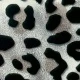 Tinted Leopard Print