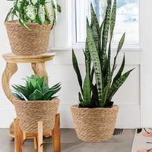 4 Pcs Large Premium Seagrass Planter Basket With Plastic Lining For Indoor Outdoor Plants Natural Stylish Woven Wicker Baskets With Protective Liner Ideal For Flower Pots Cover And Room Decor Dimensions 10.2x7.5x7.5 Inches - tự nhiên - Xem 7