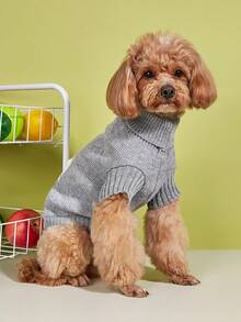 1 pièce Vêtements pour animaux de compagnie Automne/Hiver Tricoté Élastique Design de col retourné Couleur unie Mignon Pompon de lapin Petit chien Chat Pull - Gris - Voir 5