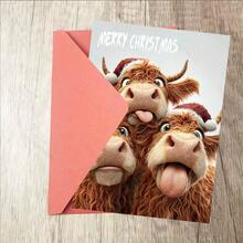 1 Stück/2 Stücke Lustige Hochland-Kuh Geburtstags-/Weihnachtskarte - humorvolles "Heilige Kuh!"-Design, Geschenk für Fans von Nutztieren, Freunde und Familie - hochwertige Kartenpapier mit Soft-Touch, Weihnachtsgeschenke