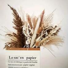 1 Bouquet Boho Style Dried Reed Flowers, Includes Reed Grass And Bunny Tails, White And Brown, Suitable For Boho Floor Vases, Tabletop Decor, DIY Crafts, Weddings And Gift Box Filler - Brown - View 4