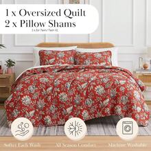 Full/Queen Quilt Bedding Set, Microfiber Quilts Queen Size, Coverlet, Stain & Pet Hair Resistant Bedding, Full Size Bedspread With 2 Pillow Shams, Bone, 2025 - 35 - 詹姆士一世時期柳樹紅 - 查看 2