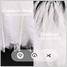100根5-7英寸白色公鸡羽毛，手工制作，带鞍形夹，适用于婚礼、家庭聚会、捕梦网和DIY工艺品 - 白色 - 查看 5