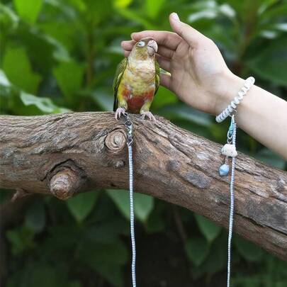 1 Set Super Elastic Parrot Flight Leash With Bracelet And Cute Cartoon Pendant, Suitable For Cockatiel, Cockatoo, Parakeet And Other Outdoor Birds, Retractable Bird Walking Rope, No Foot Ring, Suitable For Bird Training And Release In All Seasons