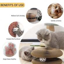 2件装互动猫玩具，带内置魔幻风琴扬声器的猫抓板，有助于缓解猫咪无聊。采用瓦楞纸板制成，可包装和拉伸。 - 彩色 - 查看 4