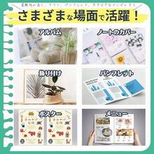 写真用紙 A4 両面 インクジェット 薄手 光沢 50枚 両面光沢紙 写真プリント用紙 (PJPA4WS140DG) - 白 - チェックする 6