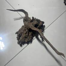 1 件 20-30 厘米天然浮木珊瑚装饰品（浮木为天然形状，厚度差异 5-10 厘米属于正常范围。收到浮木后，请将其浸泡在清水中数小时。） - 彩色 - 查看 11