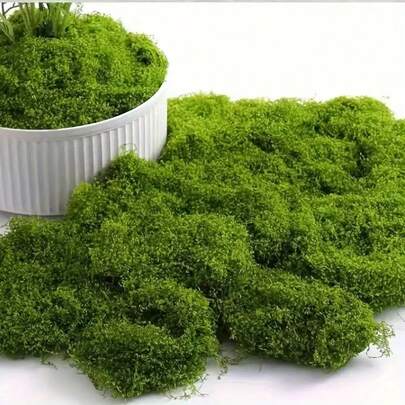 1 pièce Mousse artificielle 100g, décoration végétale verte réaliste en PP pour artisanat DIY, décoration de la maison - parfait pour les mini-paysages, les terrariums, les jardins de fées, la décoration de mariage et les aquariums