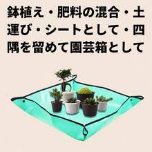 Tarps - Initial - View 8