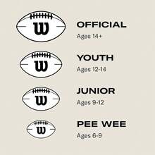 GST SpeedSkin Footballs