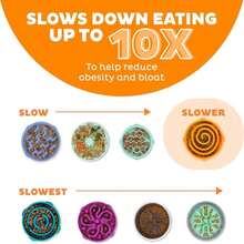 Outward Hound Medium Slow Feeder Bowl, Puzzle Maze For Fast Eaters, Small To Medium Dogs, Helps Prevent Bloat &Amp; Aid Digestion, Holds 2 Cups Wet Or Dry Food, Non-Slip, Made Without BPA, Turquoise - ColorD - 查看 4