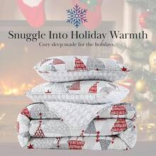 Full/Queen Quilt Bedding Set, Microfiber Quilts Queen Size, Coverlet, Stain & Pet Hair Resistant Bedding, Full Size Bedspread With 2 Pillow Shams, Bone, 2025 - 歡樂與光明 - 查看 3