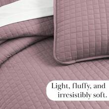 Full/Queen Quilt Bedding Set, Microfiber Quilts Queen Size, Coverlet, Stain & Pet Hair Resistant Bedding, Full Size Bedspread With 2 Pillow Shams, Bone, 2025 - 12 - Lavender - 查看 7