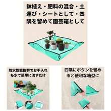 Tarps - Initial - View 1