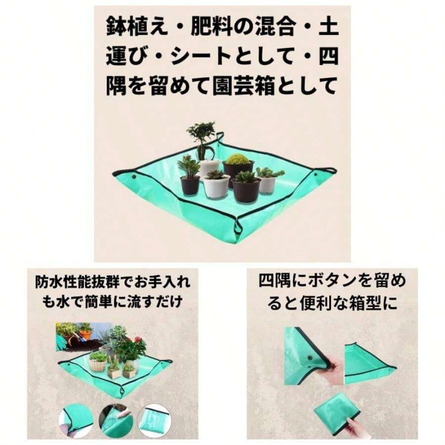 Tarps - Initial - View 1