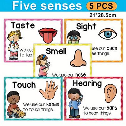 Lachilly 5 Pcs Poster Master Five Senses Posters, Five Senses Wall Decals Sight Smell Hearing Taste Touch Posters Classroom Decoration, Homeschool Supplies Educational School Poster, Home School Classroom Resources Educational Toys