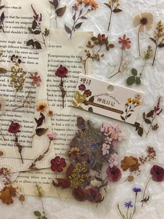 40张/包 复古干花植物贴纸，适用于剪贴簿、日记装饰