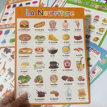 Animal, Food, Fruit, Transportation, Learning Themed Poster, French & English Learning Flashcards