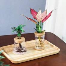 2pcs Mini Hydroponic Flower Pots, Transparent Glass-Like Vases, Soil-Free Planter, Home Decor - Multicolor - View 3