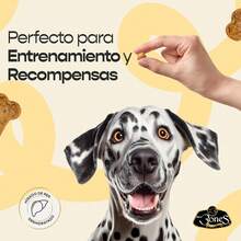 Dog Puzzle & Training Toys - 120克 - 骨頭棒 - 查看 2