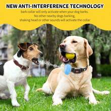 Adjustable Anti-Bark Dog Collar, Suitable For Various Dog Sizes, 8 Sensitivity Levels, 2 Training Modes, Rechargeable Via USB Type-C, Long-Lasting Anti-Barking Device