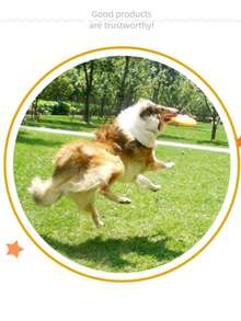 Pet Toy Dog , Interactive Training Floating Water Resistant Soft Pet Supplies - Multicolor - View 7